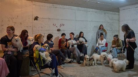 Iran dismisses US ceasefire proposal amid escalating regional conflicts