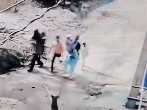 Infant Falls on Road; Woman Bitten Fighting Dog in Sawai Madhopur ...