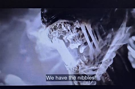 No-one: Some poor computer trying its best doing movie subtitles ...