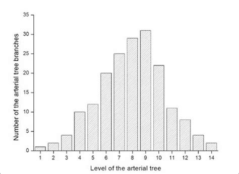 Methodology and evaluation of the renal arterial system - PMC