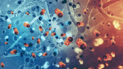 PRP vs. Stem Cell Therapy: Which Regenerative Treatment Is Best?