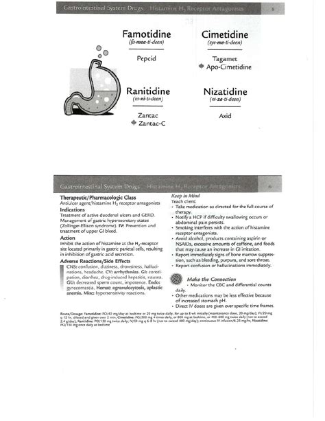 Gastrointestinal Drugs Overview and Patient Education - Studocu