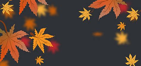 Edit Ap Background Images, HD Pictures and Wallpaper For Free Download ...