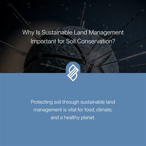 Soil Carbon Sink Management → Area → Sustainability