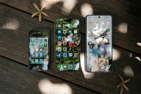 9.000+ Haliey+welch+nude+leaked Bilder und Fotos · Kostenlos Downloaden · Pexels Stock-Fotos