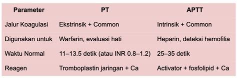 Memahami Pt Aptt Inr: Panduan Lengkap Tes Pembekuan Darah