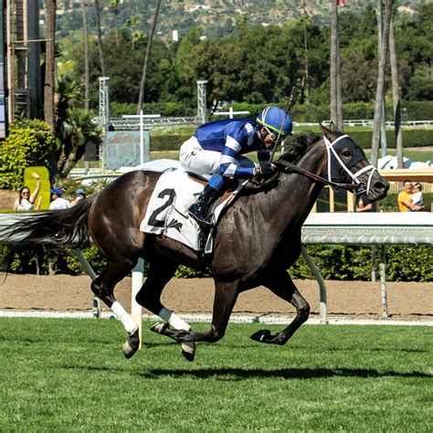 'She's Feisty': Counterbalance Battles Between Rivals, Surges Clear In ...