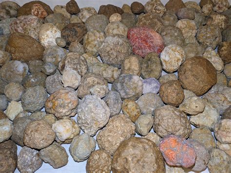 Unopened Natural Geodes Agates Nodules 2LB Bulk Lot for Lapidary