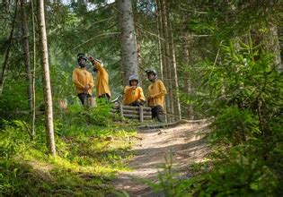 Calligraphy | Saalfelden Leogang Touristik GmbH
