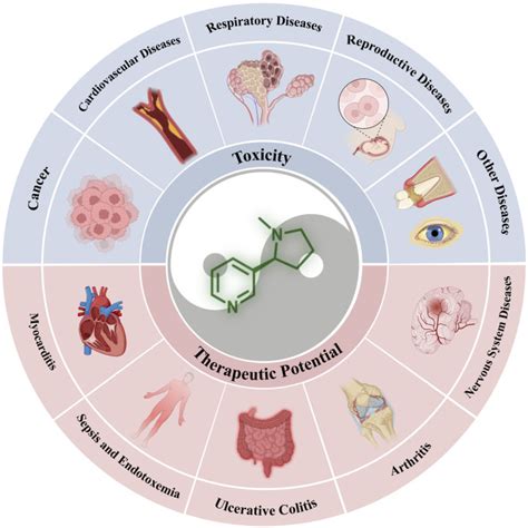 The double-edged nature of nicotine: toxicities and therapeutic ...