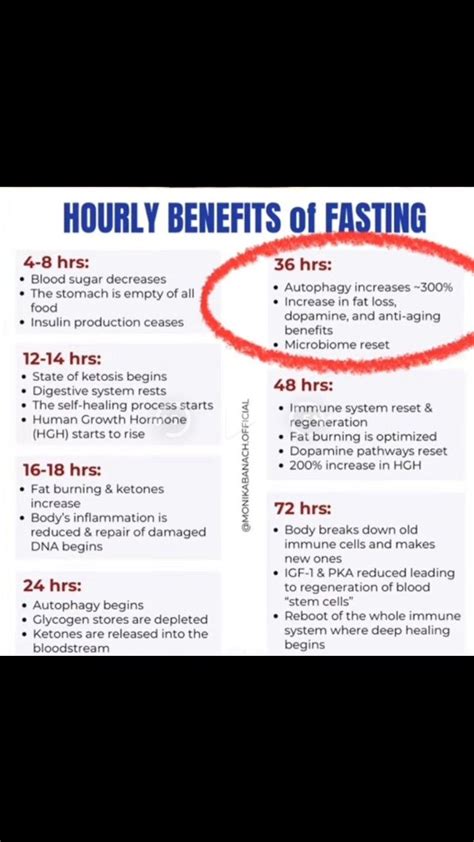 Pin van Ma Ria op Voeding | Gezond, Voeding