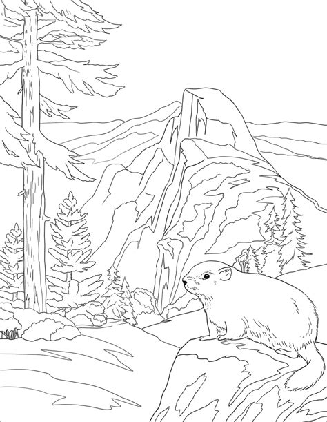 Granițe Naționale | 3 Pagini de colorat imprimabile gratuite