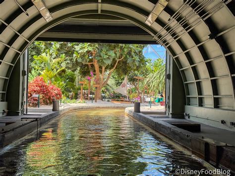 The Unspoken Rule You Should Follow at the Land Pavilion in EPCOT | the ...