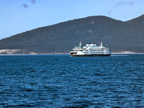 The Nature Bucket: Shore Walk in Anacortes