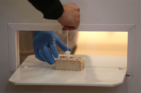 Bar customers urged to take a test after Indian variant detected