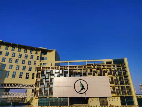 Centre for Action Research and Documentation | CARD