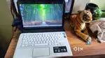 Sony Laptop Vaio - Buy & Sell Computers & Laptops Online in India | OLX