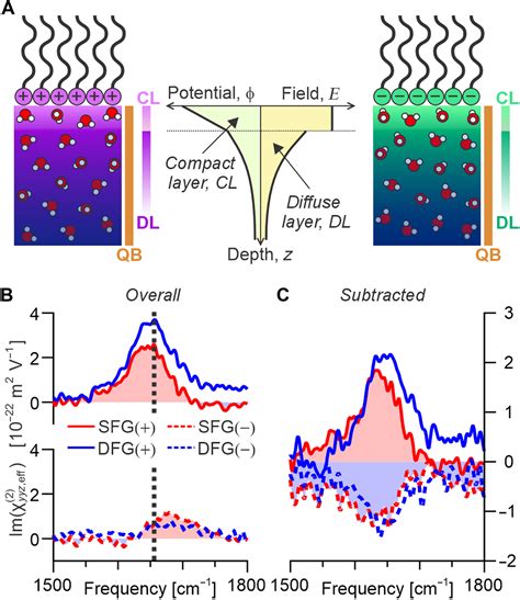 The importance of layer-dependent molecular twisting for the structural anisotropy of ...