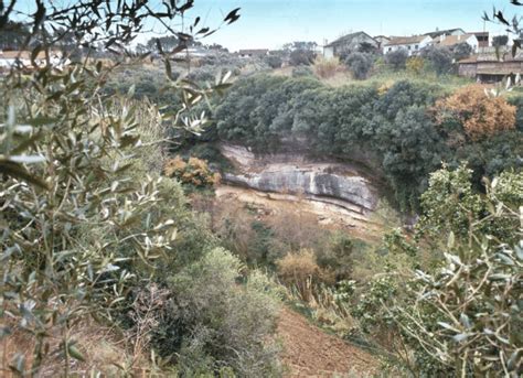 Neither sapiens nor Neanderthal: Scientists finally reveal the truth ...