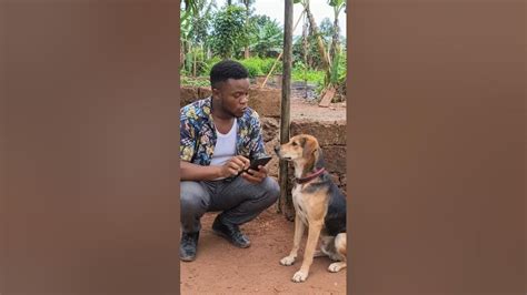 call them fast 🏃‍♂️ #funny #funnyvideo #funnyreels #goviralpost please ...