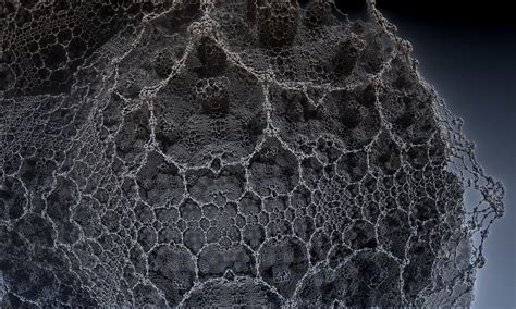 Image result for Neural Network Layers