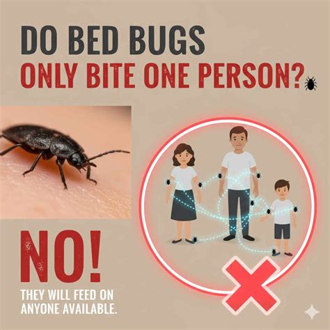 Do Bed Bugs Only Bite One Person? Essential Guide