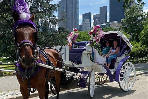 NYC CENTRAL PARK HORSE CARRIAGE RIDE (2026) All You Need to Know BEFORE ...