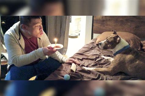 Healing and Hope: Brie’s Second Act | ASPCA