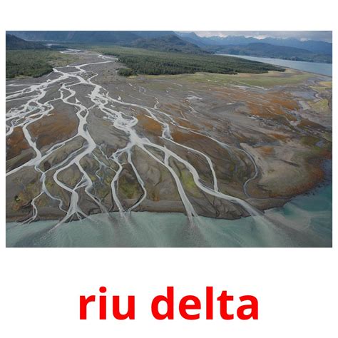 30 Tarjetas de Aprendizaje de Cuerpos de agua GRATIS en PDF | Imágenes ...