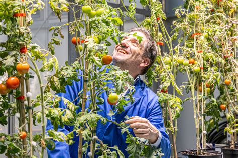 Key Protein SYFO2 Enables ‘Self-Fertilization’ of Leguminous Plants ...