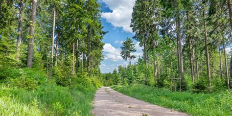 Circular hiking trail - "Zum Ausgebrannten Stein" - Oberhof ...