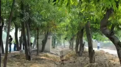 1st South Asian agroforestry, trees outside forests TREESCAPES Congress ...