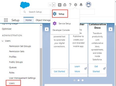 NetSuite Applications Suite - About the Salesforce Integration User