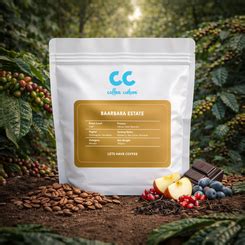 Arabica vs Robusta Coffee – Which One Should You Choose ...