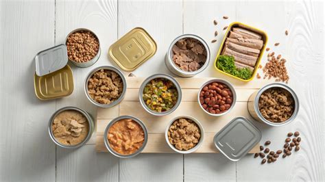 The Ultimate Guide to the Top 10 Wet Cat Food Brands Your Cat Will Love