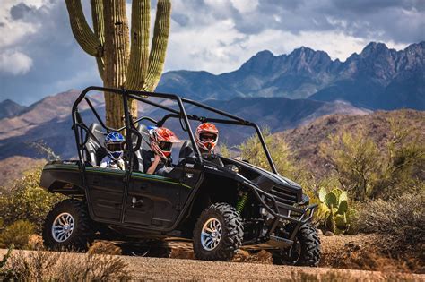 Say hello to one of the desert’s most powerful nighttime hunters...the Great Horned Owl! 🦉 Here ...