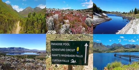 🌿10 Spots Left! Fynbos Trail, Wesselsgat River to Giants Washbasin ...