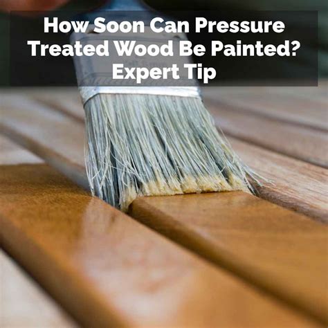 How Soon Can Pressure Treated Wood Be Painted? Expert Tip