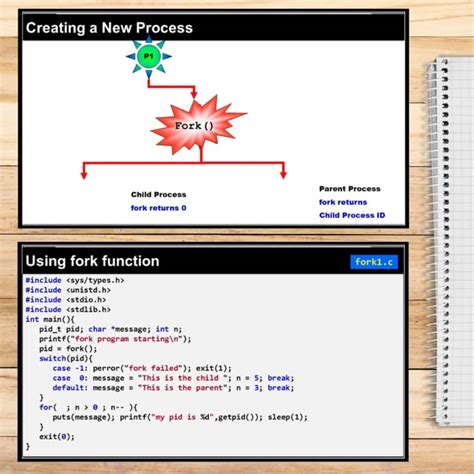 Linux Processes and Signals Lesson with fork(), exec(), wait() & C Examples