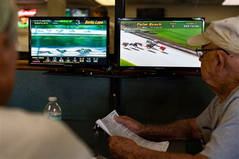 Election 2018 Florida: Greyhound racing ends in Florida