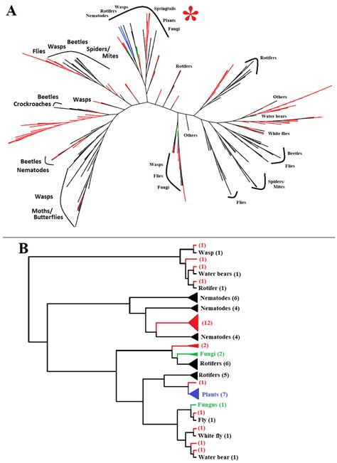 Frequent Acquisition of Glycoside Hydrolase Family 32 (GH32) Genes from ...