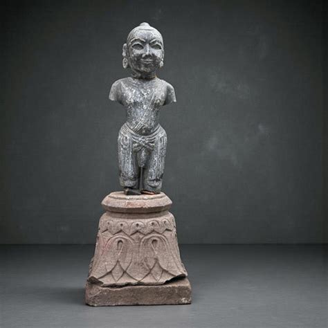 The Pulse of the Earth: How Biophilic Design Is Shaping the Future of ...