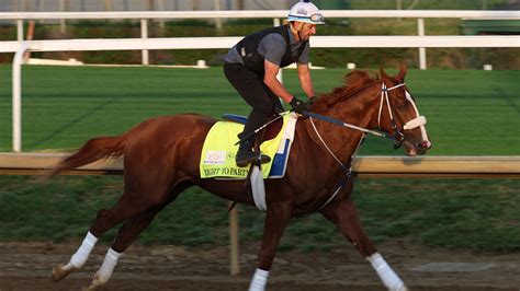 Kentucky Derby 2026 Post Positions Draw Start Time, Horses Lineup and More