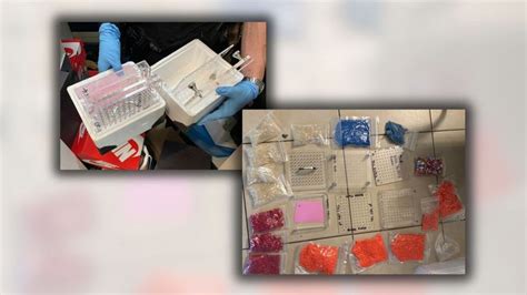 Raid halts deadly narcotics pipeline from LA to South Florida, kilo of ...