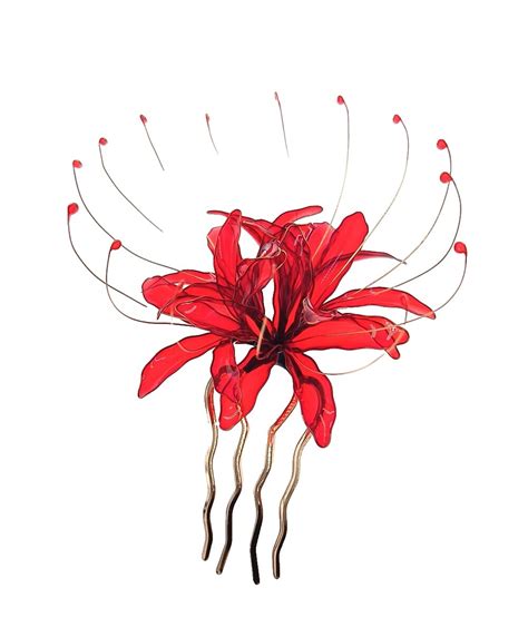 Lycoris Radiata | eBay
