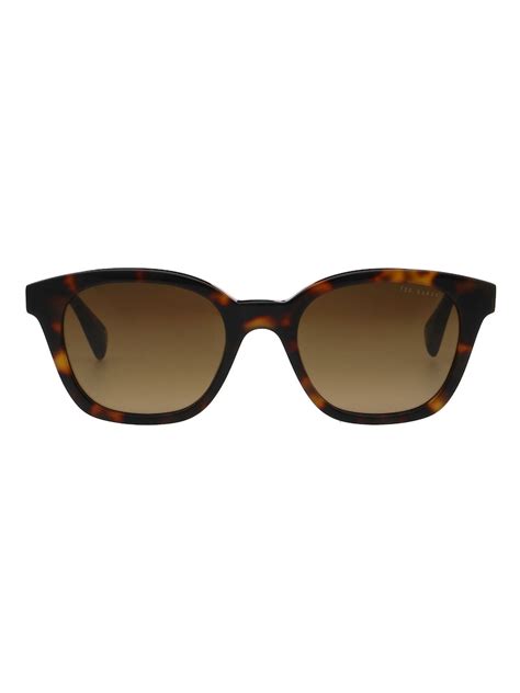 Buy Ted Baker Brown Noah 1797 Sunglasses from Next India