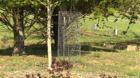 Charleston’s month-long Appalachian Spring Project events kick off