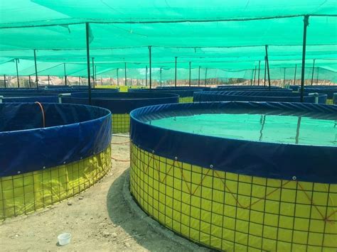 Biofloc Fish Farming GI Wire Mesh Trader - Wholesaler / Distributor ...