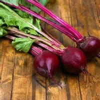 Manfaat Buah Bit untuk Kesehatan Terbaru - Berita, Foto, Video | Fimela.com