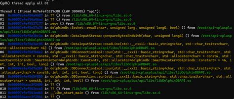 DolphinDB API 卡住获取栈信息指南-CSDN博客